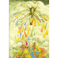 GREETING CARD AINSLIE ROBERTS-KOSCIUSKO BOGONG MOTH